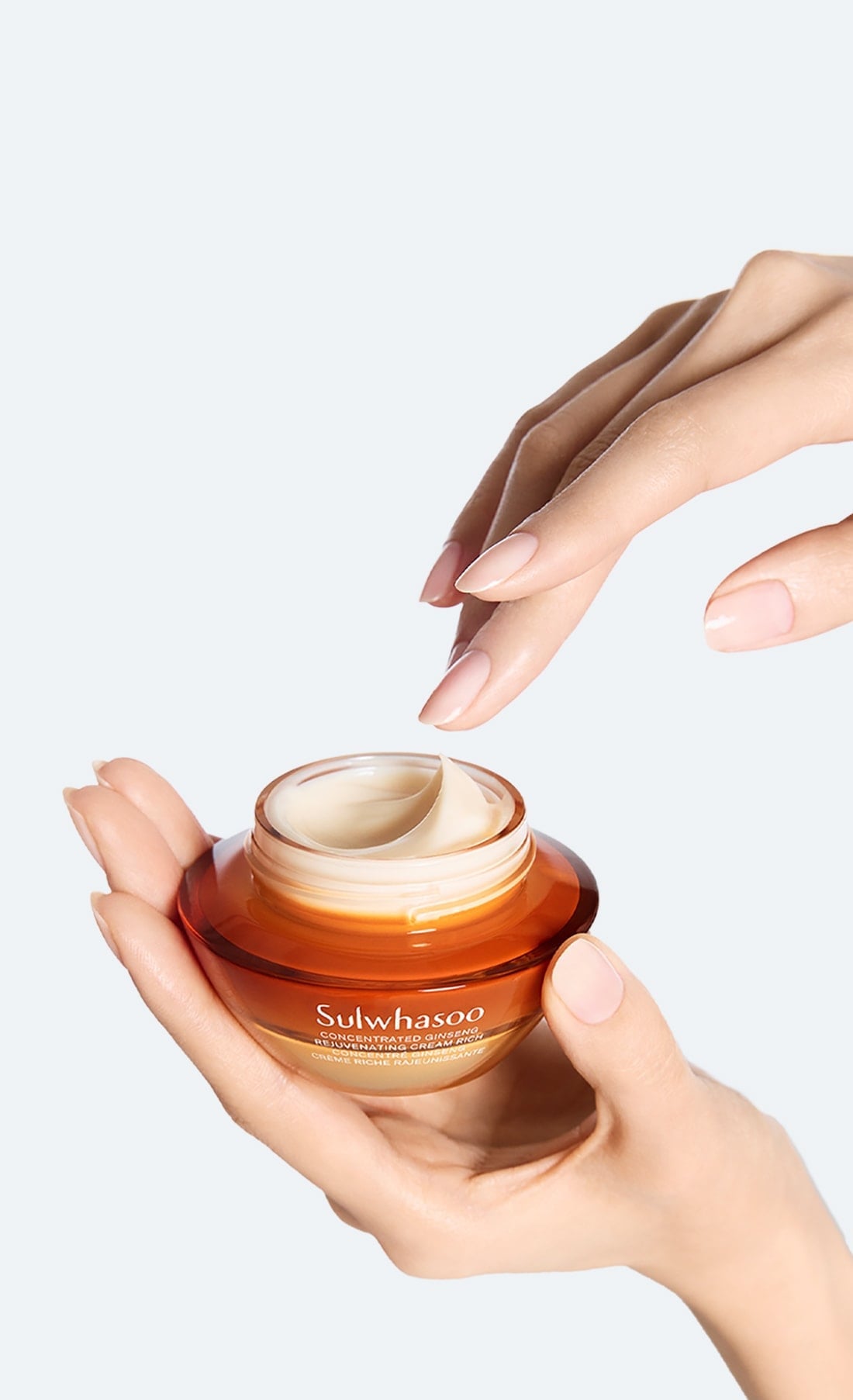 Sulwhasoo Creme Enriquecido de Ginseng Renovador Concentrado 30ml