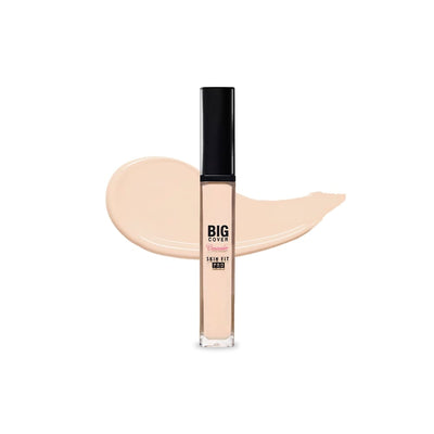 ETUDE Big Cover Skin Fit Concealer PRO - expected results