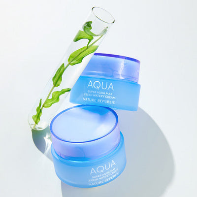 NATURE REPUBLIC Super Aqua Max Fresh Watery Cream 80ml - hydration and protection