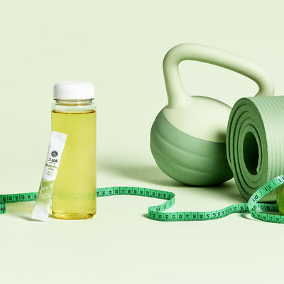 OSULLOC Kombucha Apple Pine (10 sticks) with honey for nourishment and hydration