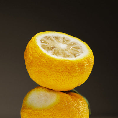 OSULLOC Signature Earl Grey (10 count) with aha for exfoliation and renewal