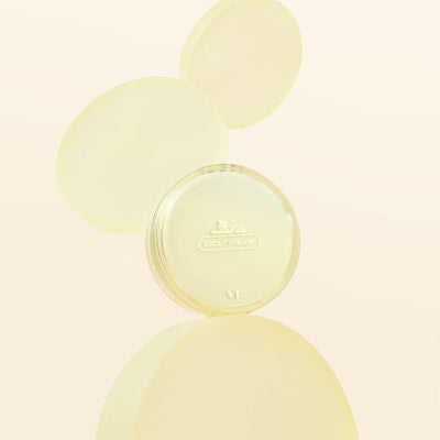 VT Cica Velvet Jelly Pact - 2 Colors 12g SPF36/PA++ #21 Light Beige with fermented for improved absorption and brightness