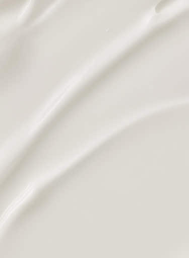 [Beauty of Joseon] Pine Grove Body Cream 400ml - hydration and protection