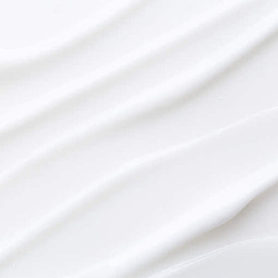 [Pyunkang Yul] ATO Moisture Barrier Body Lotion 590ml - daily hydration