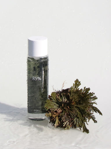 Dr.Althea Anastatica Skin Conditioning Toner 250ml - skin preparation