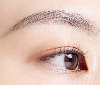 BANILA CO Smudge Out Detail Browcara 4g - application method