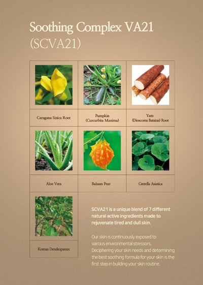 Relaco VA21 PREMIUM PURE VITAMIN C SERUM SET (14ml X 3ea) with rice for brightness and smoothness